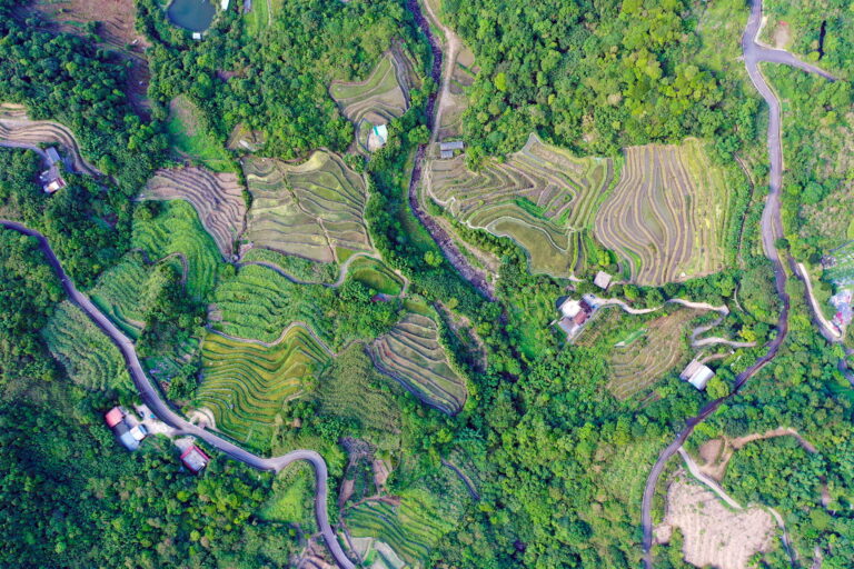 石門蒿山梯田深度指南：走進嵩山百年梯田，看鳶尾花季與石砌田園風光