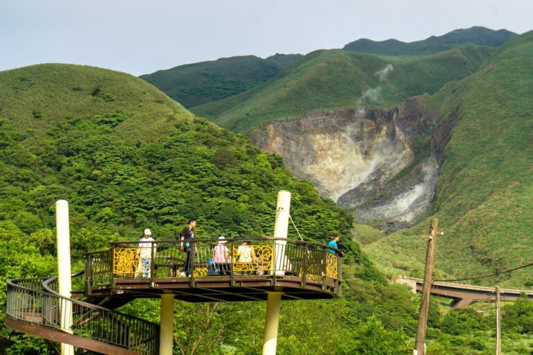 陽明山竹子湖海芋懶人包：必拍花田、觀景步道、賞花餐廳一次收錄