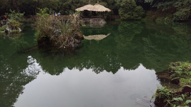 阿里山深度旅行專題:森林鐵道、雲海步道與山城秘境一次看