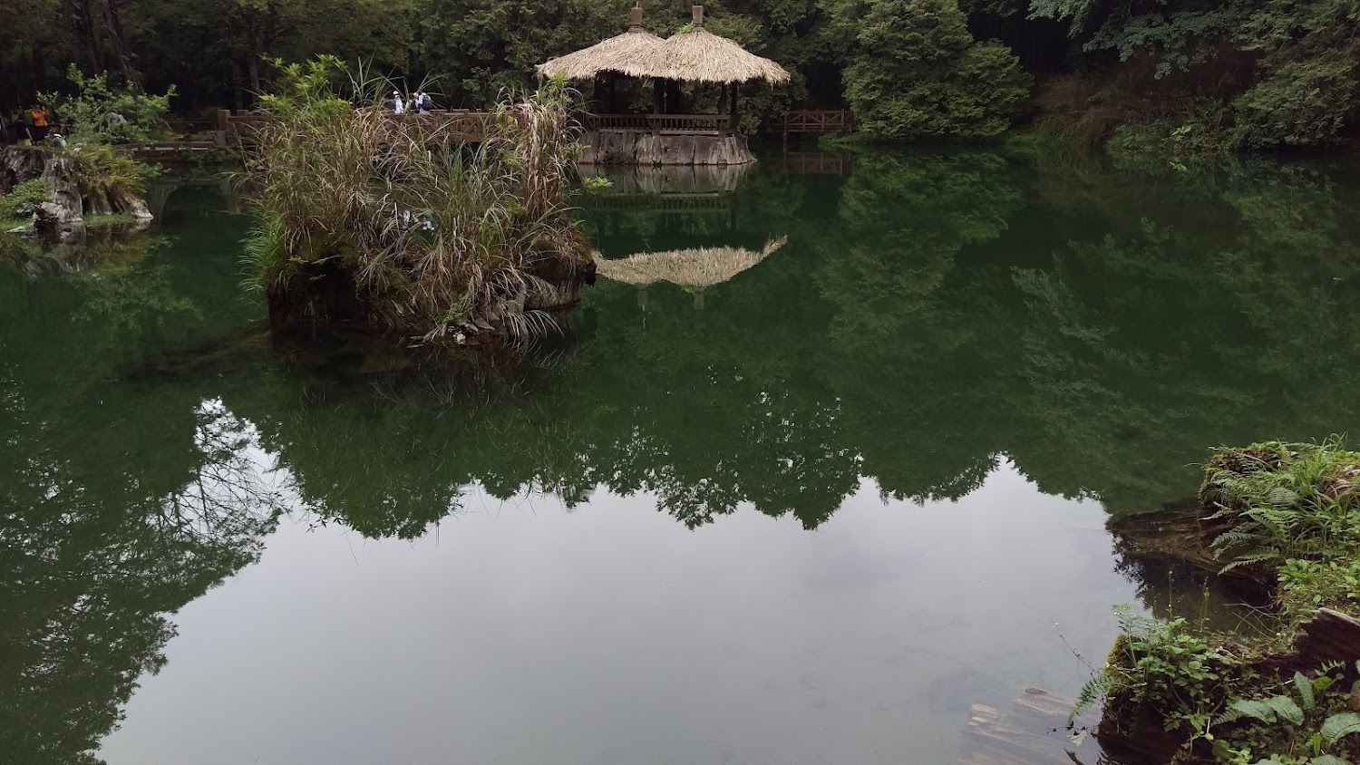 阿里山深度旅行專題：森林鐵道、雲海步道與山城秘境一次看