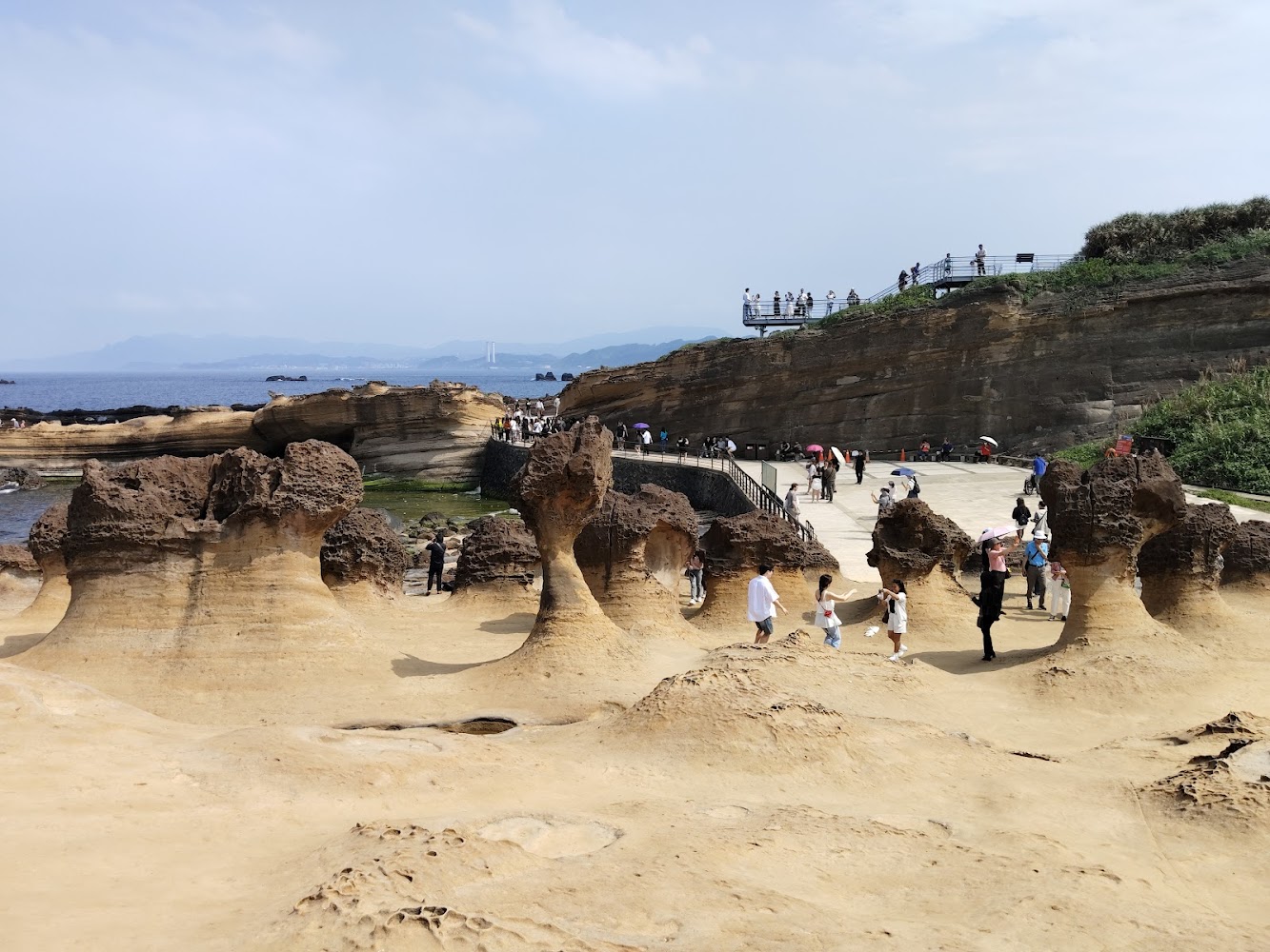 野柳地質公園懶人包 6 大順遊重點：女王頭、海洋世界、停車、遊客中心一次看